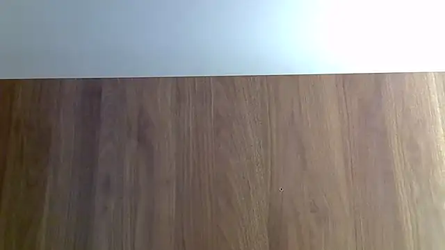 SkinnyKitten – webcam-show