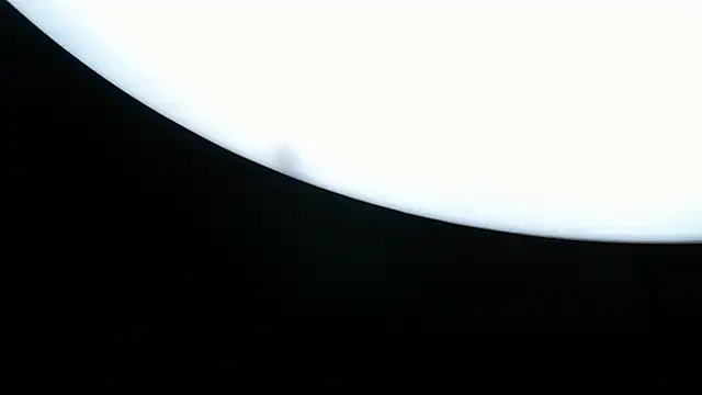 FalineBeacher: онлайн-секс-чат