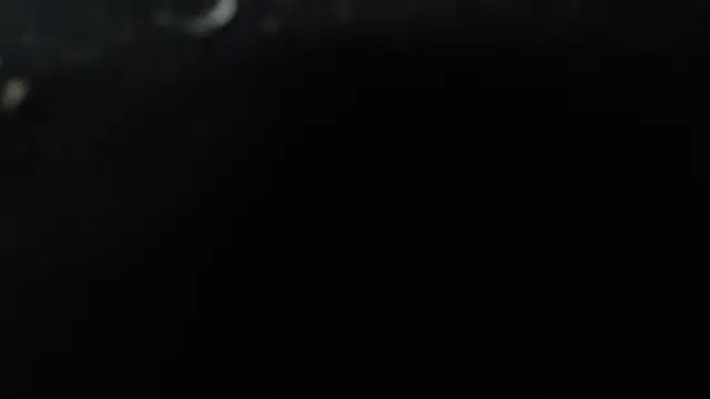 1BECHA1 Chat XXX live