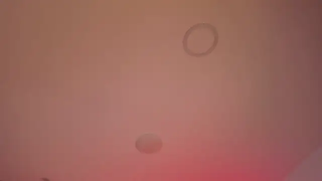 jay_kross1's Live XXX Chat