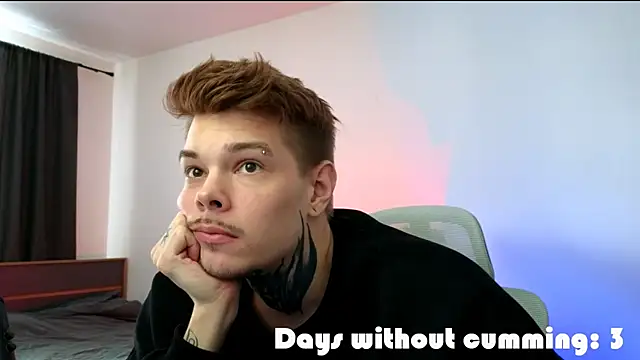 DENIS_HEREn Webbikameraesitys