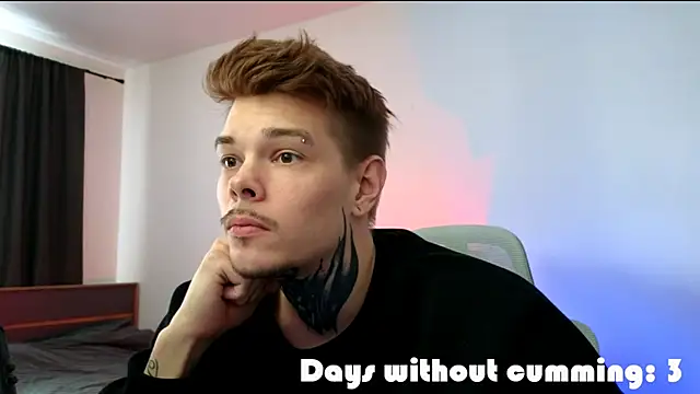 DENIS_HEREn Webbikameraesitys