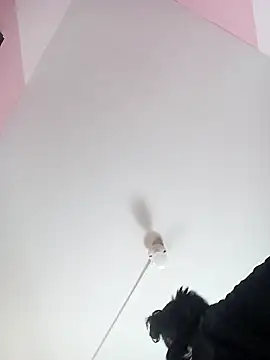 Dakashyten: онлайн-секс-чат