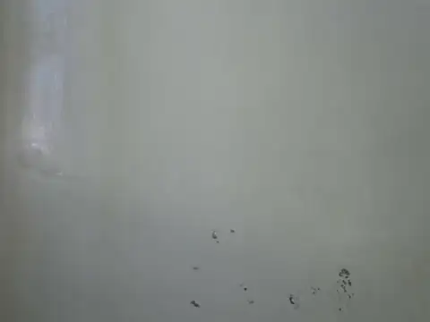 Sembang XXX Secara Langsung Rasta_tattooed