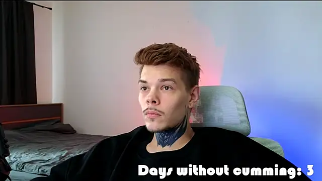 Show webcam de DENIS_HERE