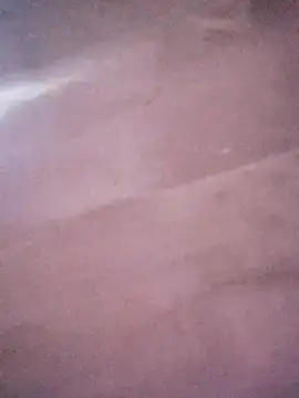 Congee-666 Live XXX-chat