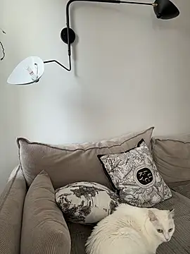 Chatroom XXX en direct de LaraHollywood