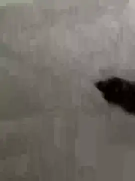 Pokazy przed kamerką – Guitccch