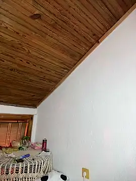 Show modela MonChery na web-kameri