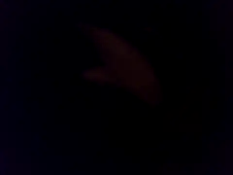 Emilis2347 webcam show