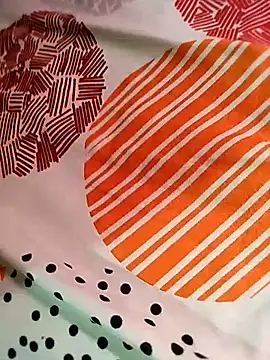 loyalboy_0052 – Kamerová šou