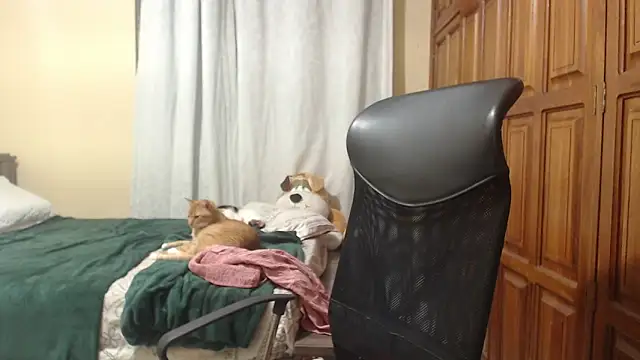 Chat XXX Live Venus_cat_