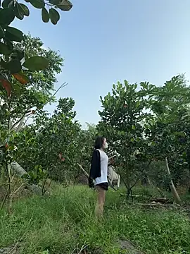 Zinna999 라이브 XXX 채팅