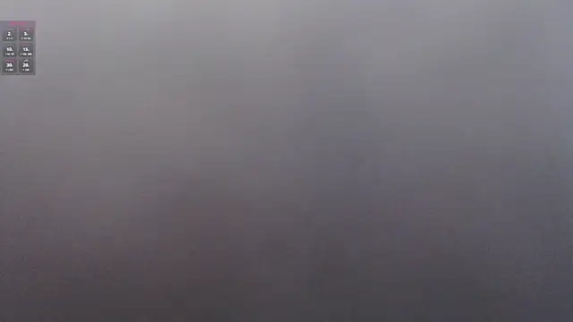 Show de webcam de lelapopins