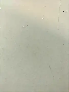 Pitercom Webcam show