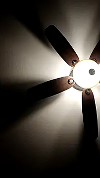 Živý XXX chat LeeCox