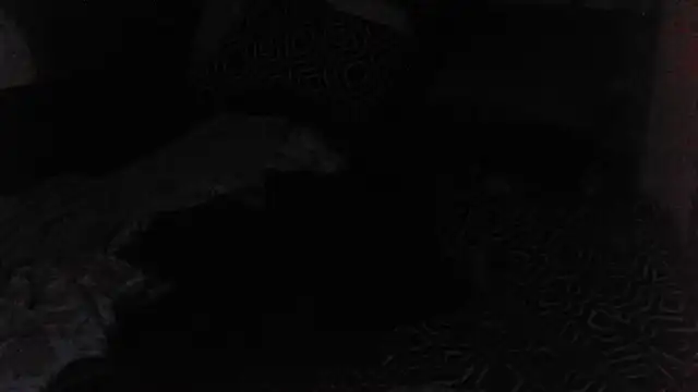 Chat XXX en directo de Mic_Oxinner