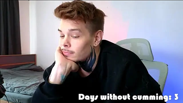 DENIS_HEREn Webbikameraesitys