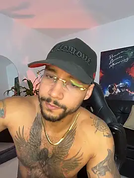 Show webcam de NikoHank