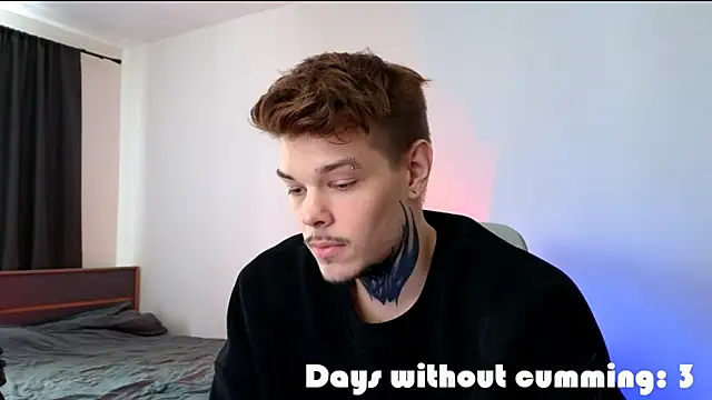 DENIS_HEREn Webbikameraesitys