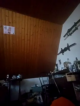 Genius1606 网络视讯表演