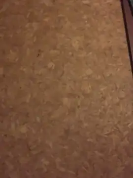 Ldnick69 élő XXX-chatje