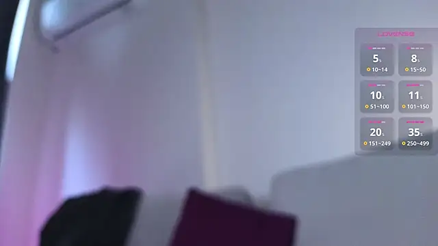 Show Webcam de S3Xyes