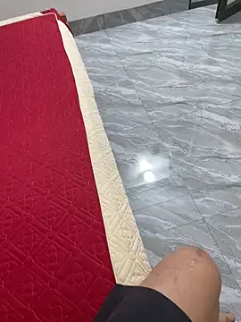 vietAnhzip 网络视讯表演