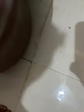 Pertunjukan Kamera Web swaggyboii