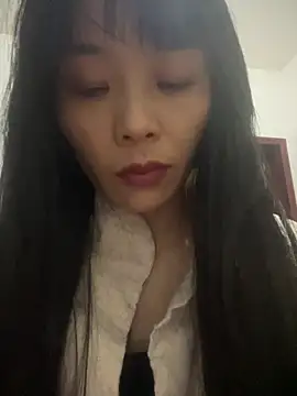 Show de petoys na webcam