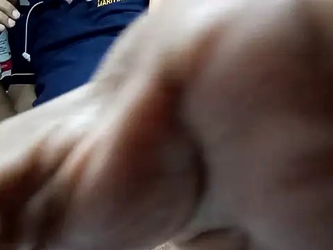 Expresshorse Show Webcam