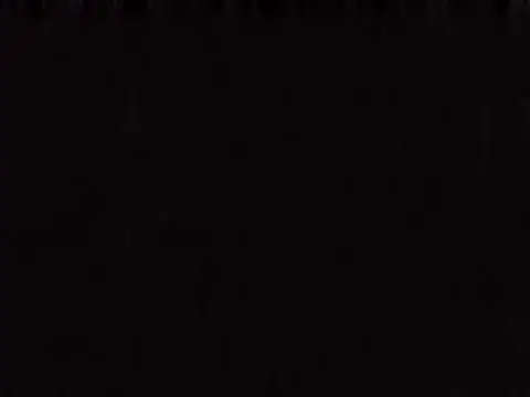 aavocadokのウェブカメラショー