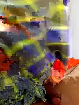 erotil_1 webkamerás műsora