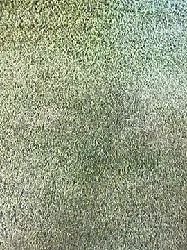 duosolo646: онлайн-секс-чат