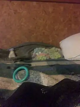 Živý XXX chat Ldnick69