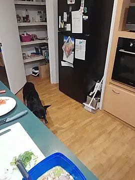 BubblegumCj Live XXX Chat