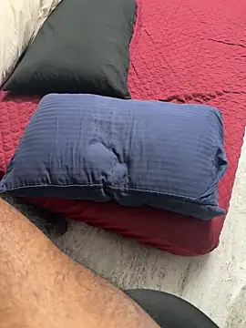 Worldwideshows13 Pertunjukan Webcam