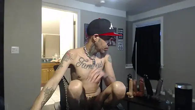 Show Webcam de Michigan9000