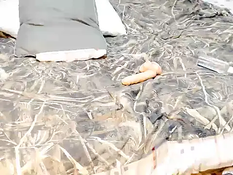 Savannah_Cock Webcam Show