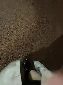 petoys 网络视讯表演