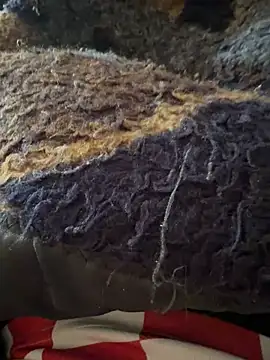 Webkamerová show negopika