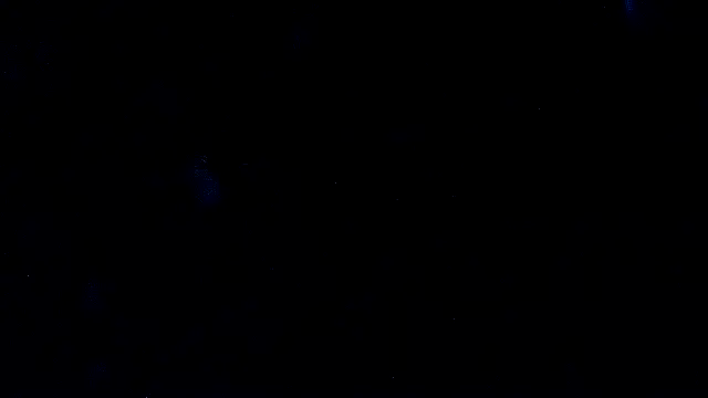 RawRyder8 现场XXX聊天