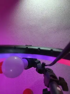 Gabilicious25 网络视讯表演