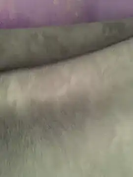 SEXY-NETEO webkamerás műsora