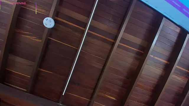 AriaFoster: διαδικτυακό σόου στην κάμερα