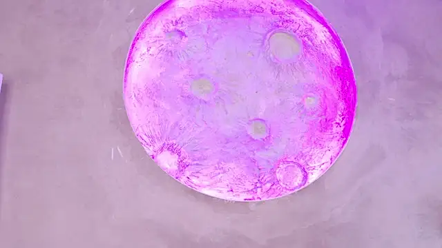 lissafeniix_ Chat XXX in diretta