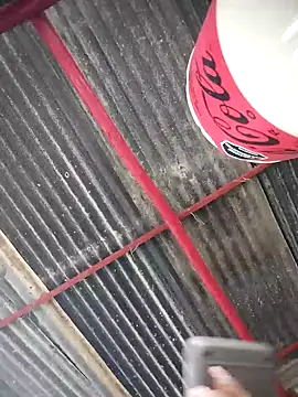 Chatroom XXX en direct de Brenda_Berck_