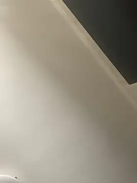 Froslのウェブカメラショー