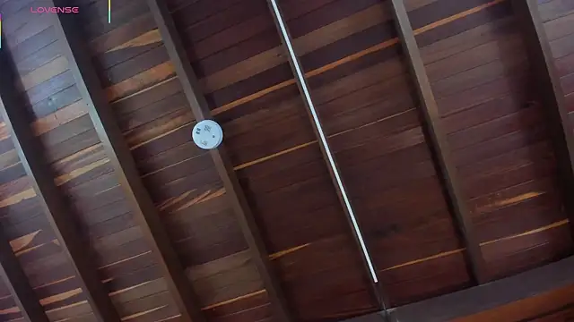 AriaFoster – Live XXX-chat