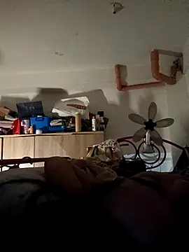 Wildcam21 Webcam-Show